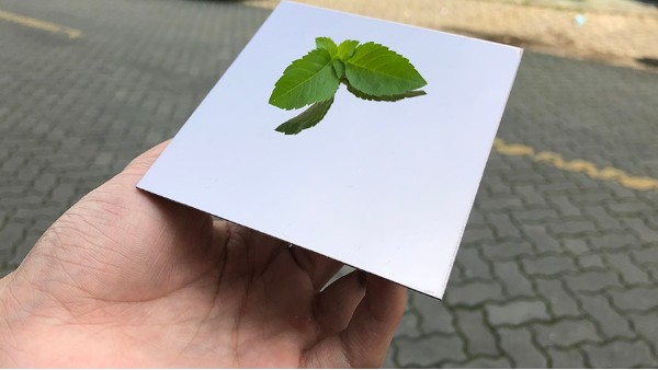 為什么彩色不銹鋼裝飾板會(huì)大受歡迎？